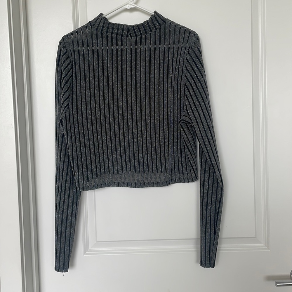 Mock Neck Sheer Crop Top